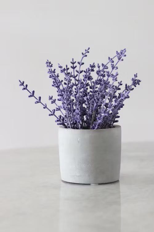 9 Ways To Use Lavender Essential Oil